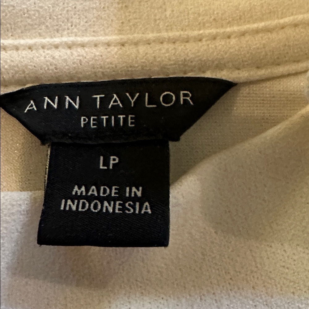 Ann Taylor Petite Ivory Blouse